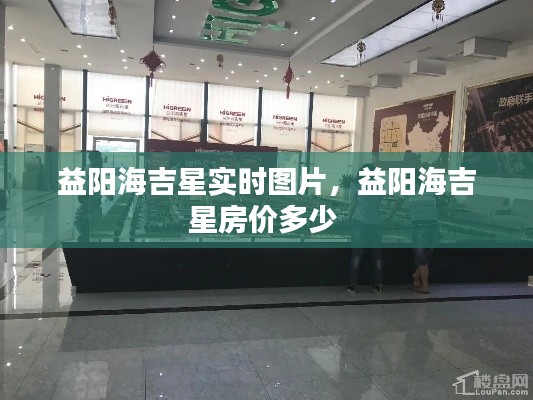 益阳海吉星实时图片,益阳海吉星房价多少