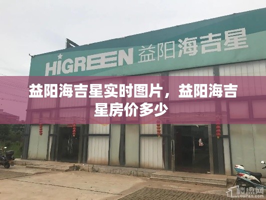 益阳海吉星实时图片,益阳海吉星房价多少