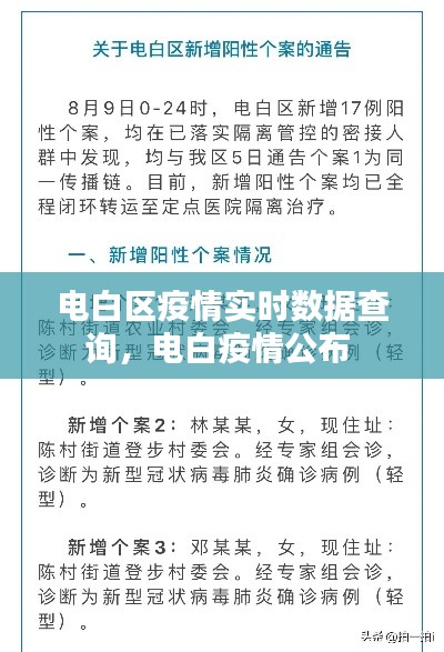电白区疫情实时数据查询，电白疫情公布 