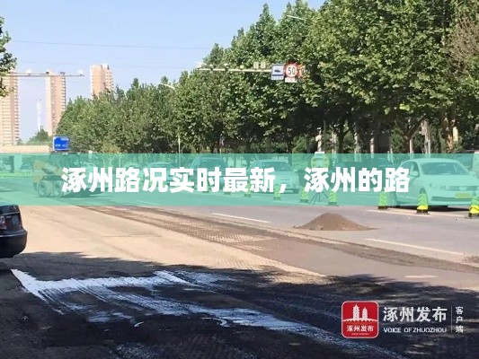 草率收兵 第4页