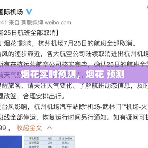 烟花实时预测，烟花 预测 