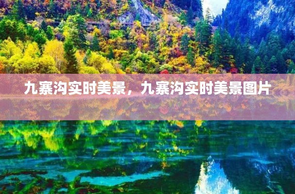 九寨沟实时美景，九寨沟实时美景图片 
