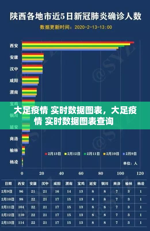 大足疫情 实时数据图表，大足疫情 实时数据图表查询 