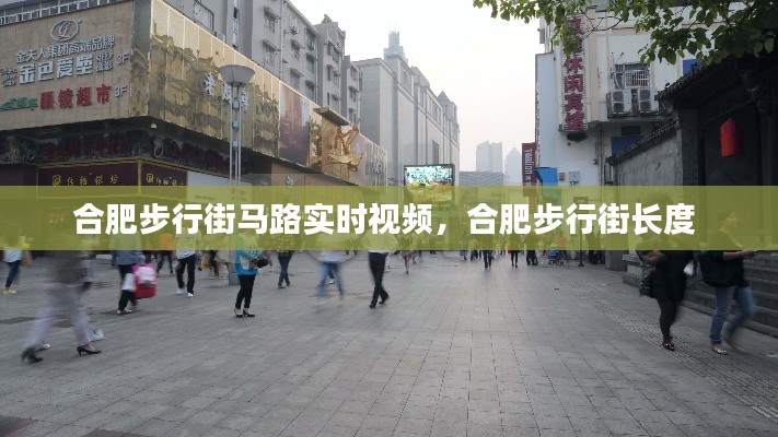 合肥步行街马路实时视频，合肥步行街长度 