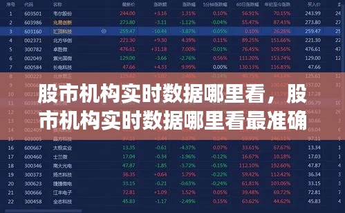 股市机构实时数据哪里看，股市机构实时数据哪里看最准确 