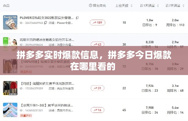 拼多多实时爆款信息，拼多多今日爆款在哪里看的 