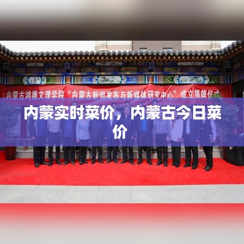 内蒙实时菜价，内蒙古今日菜价 