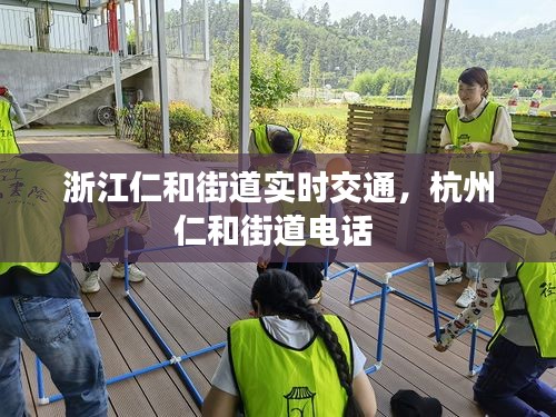 浙江仁和街道实时交通，杭州仁和街道电话 