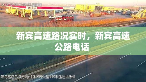 避实就虚 第5页