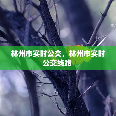 祖道供张 第4页