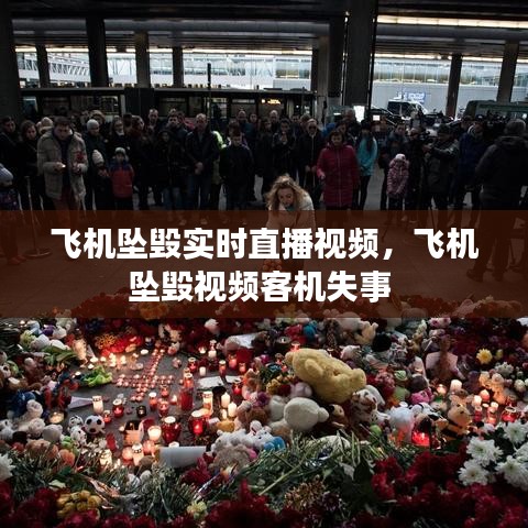 飞机坠毁实时直播视频，飞机坠毁视频客机失事 