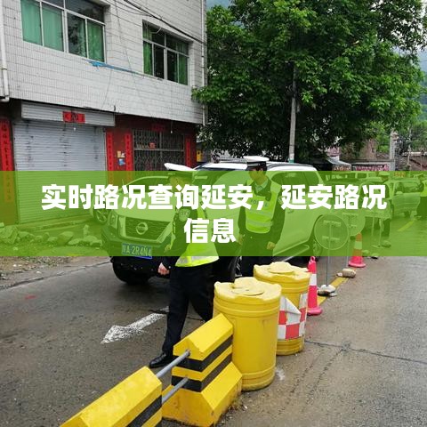 还淳反素 第4页