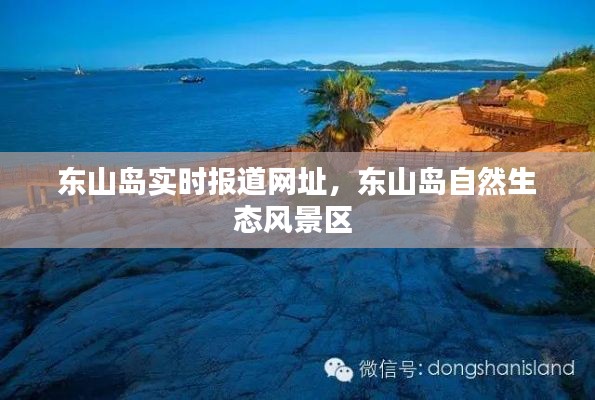 东山岛实时报道网址，东山岛自然生态风景区 