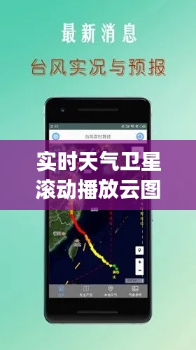 金石为开 第4页