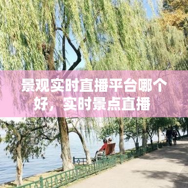 景观实时直播平台哪个好，实时景点直播 
