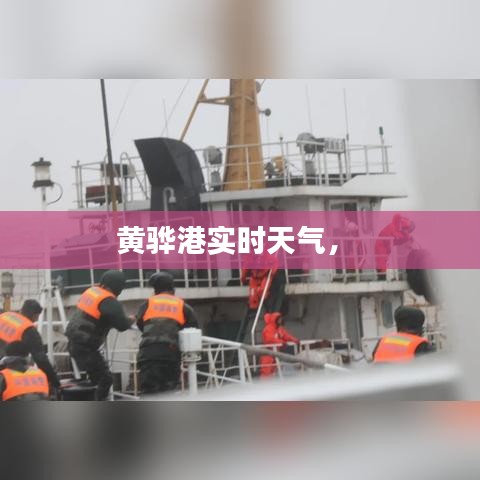 黄骅港实时天气， 