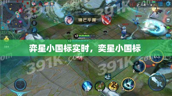 弈星小国标实时，奕星小国标 