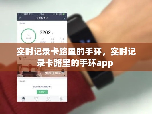 实时记录卡路里的手环，实时记录卡路里的手环app 