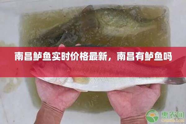 贵极人臣 第4页