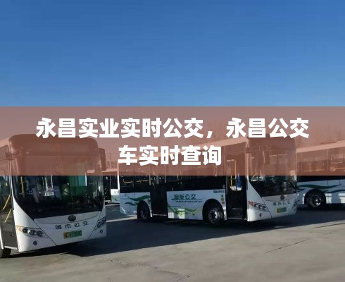 永昌实业实时公交，永昌公交车实时查询 