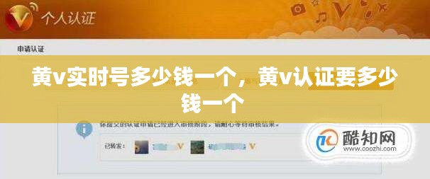黄v实时号多少钱一个,黄v认证要多少钱一个