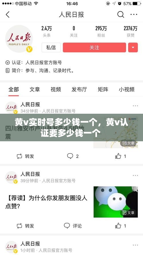 黄v实时号多少钱一个,黄v认证要多少钱一个