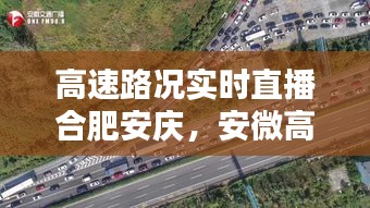 七上八下 第4页