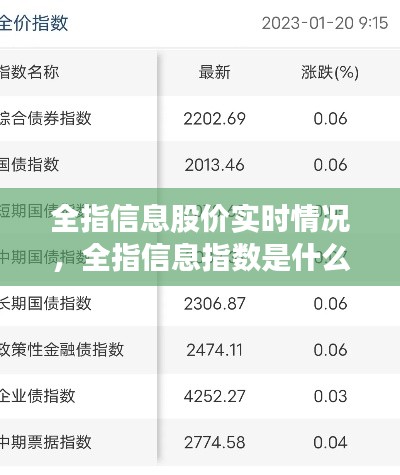 全指信息股价实时情况,全指信息指数是什么