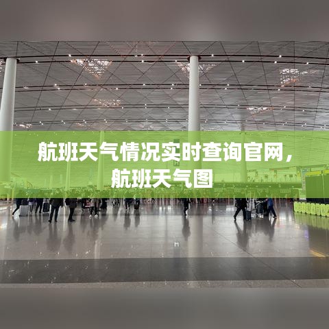 航班天气情况实时查询官网，航班天气图 