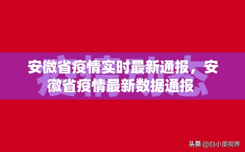 安微省疫情实时最新通报，安徽省疫情最新数据通报 
