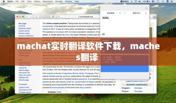 machat实时翻译软件下载，maches翻译 