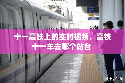 十一高铁上的实时视频，高铁十一车去哪个站台 