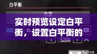 实时预览设定白平衡，设置白平衡的主要作用 
