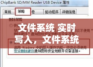 文件系统 实时写入，文件系统写入速度 
