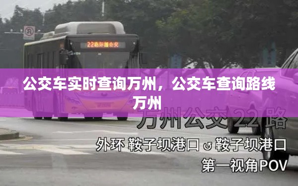 公交车实时查询万州，公交车查询路线万州 