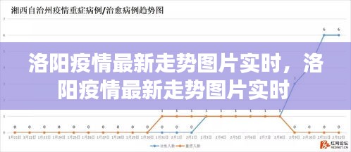 洛阳疫情最新走势图片实时，洛阳疫情最新走势图片实时 