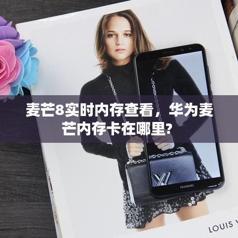 麦芒8实时内存查看，华为麦芒内存卡在哪里? 