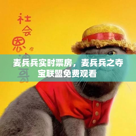 麦兵兵实时票房，麦兵兵之夺宝联盟免费观看 