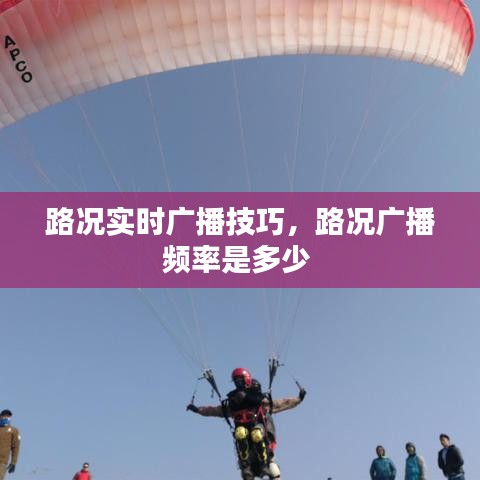 日就月将 第4页