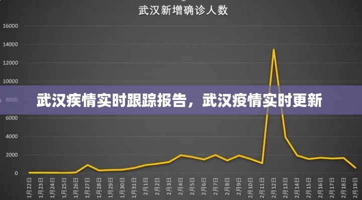 武汉疾情实时跟踪报告,武汉疫情实时更新