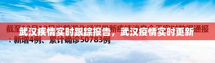 武汉疾情实时跟踪报告,武汉疫情实时更新