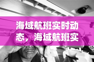 海域航班实时动态，海域航班实时动态最新消息 