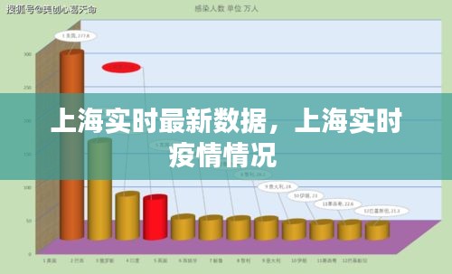 上海实时最新数据，上海实时疫情情况 
