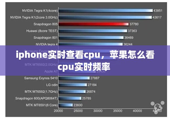 还醇返朴 第4页