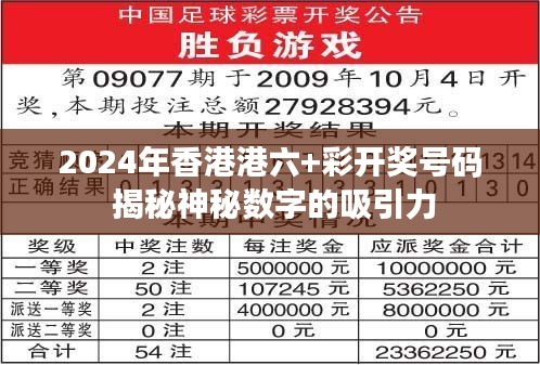 2024年香港港六+彩开奖号码 揭秘神秘数字的吸引力