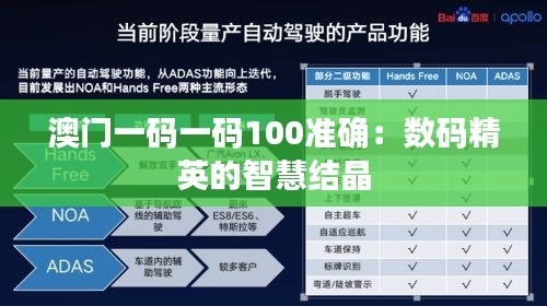 澳门一码一码100准确：数码精英的智慧结晶