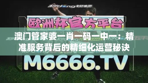 澳门管家婆一肖一码一中一：精准服务背后的精细化运营秘诀