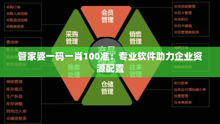 乌鸟私情 第4页