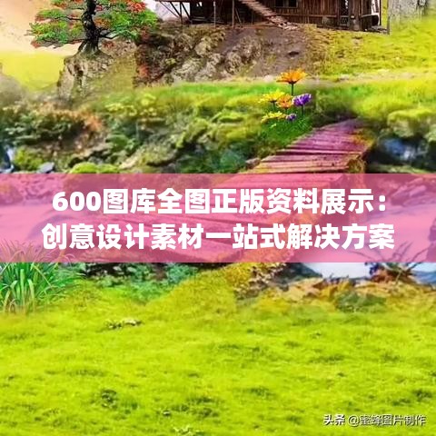 600图库全图正版资料展示：创意设计素材一站式解决方案