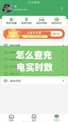 怎么查充电实时数据，查看充电状态的app 